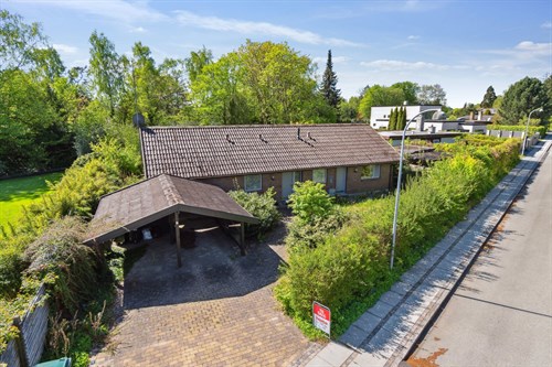 estate