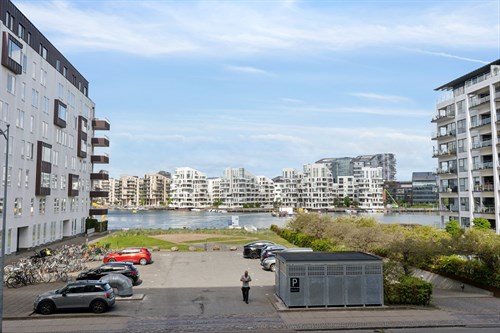 estate