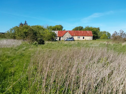 estate