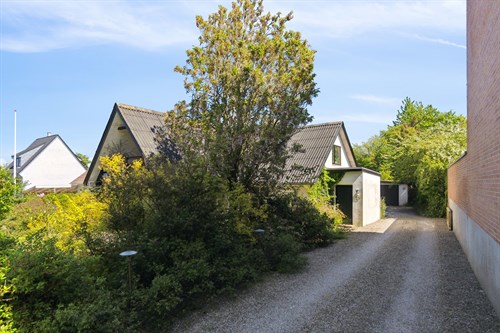 estate