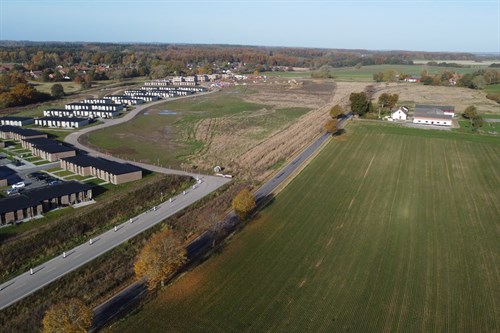 estate