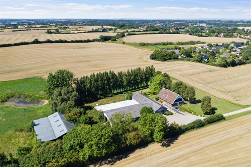 estate