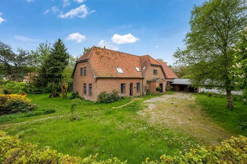 estate