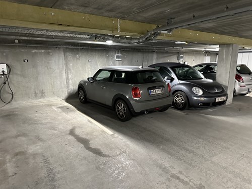 estate