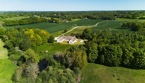 estate