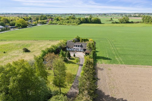 estate