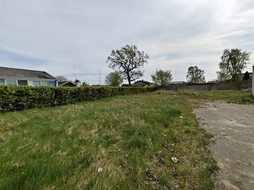 estate