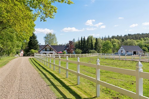 estate