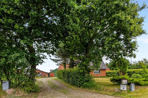 estate