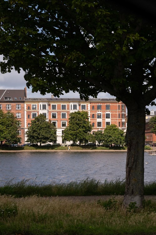 estate
