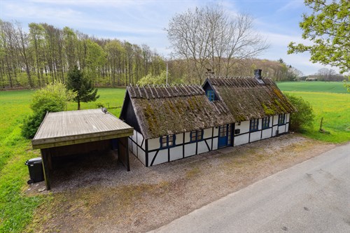 estate
