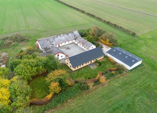 estate