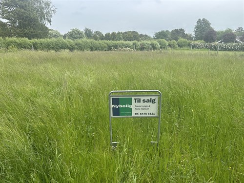 estate