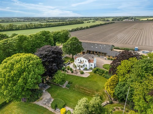 estate