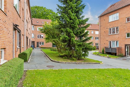 estate