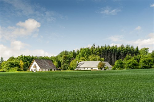 estate