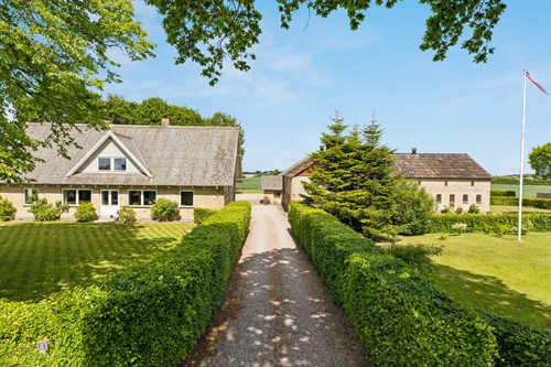 estate