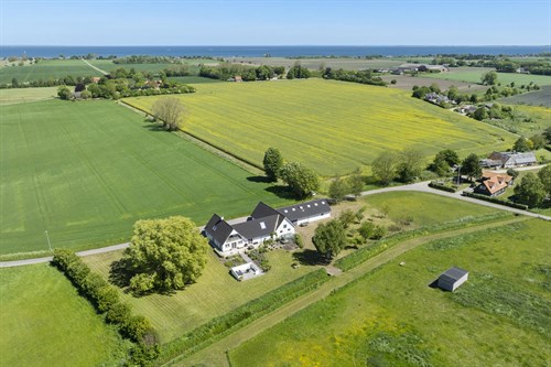 estate