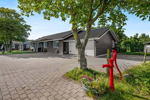 estate
