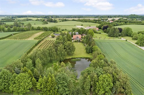 estate
