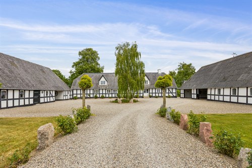 estate