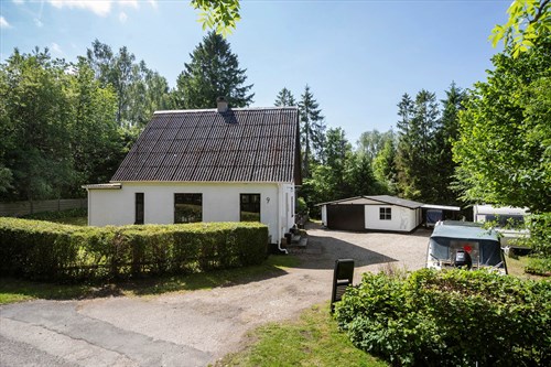 estate