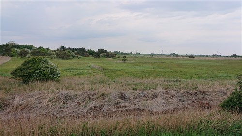 estate