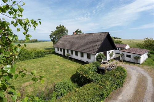 estate