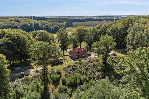 estate