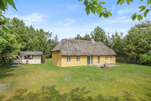 estate