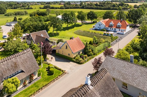 estate