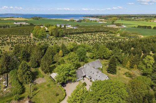 estate