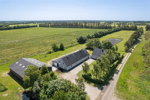 estate