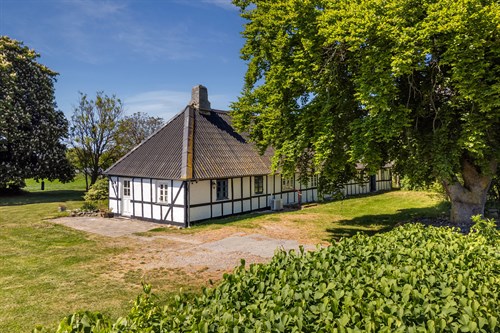 estate