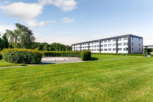 estate