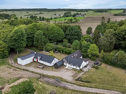 estate