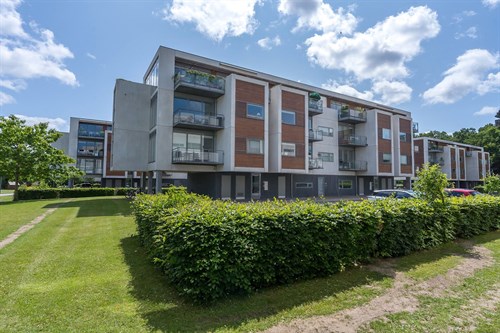 estate
