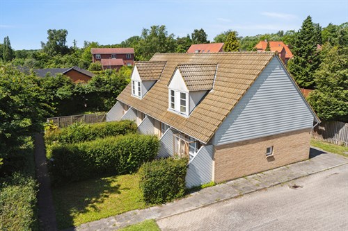 estate