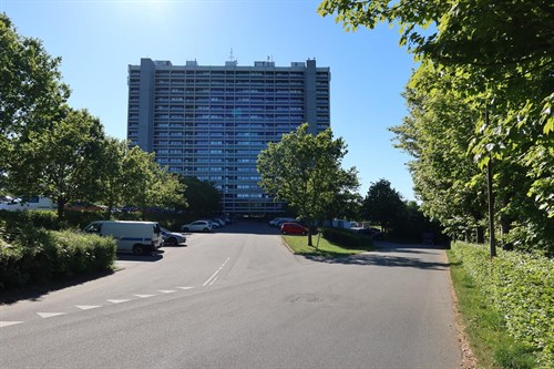 estate