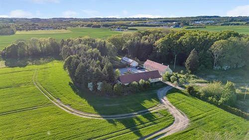 estate