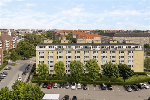 estate