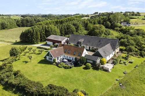 estate