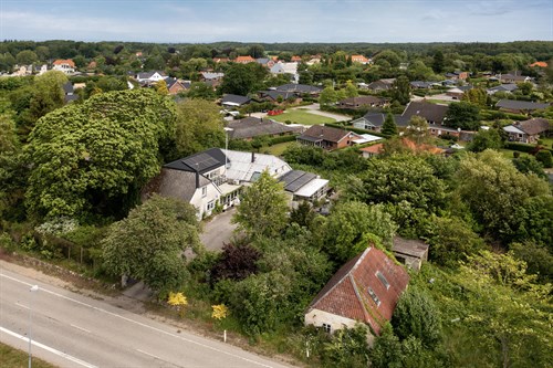 estate