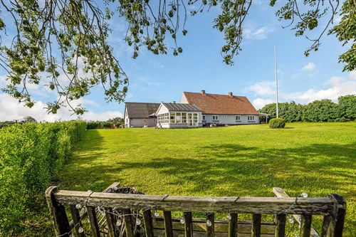 estate