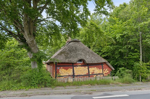 estate