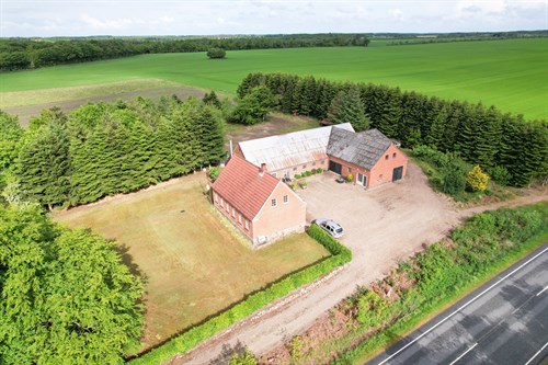 estate