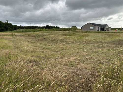 estate
