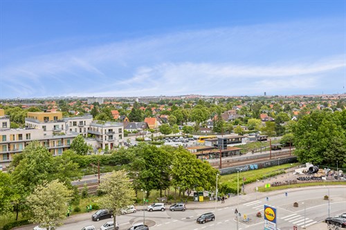 estate