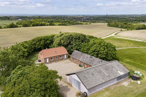 estate