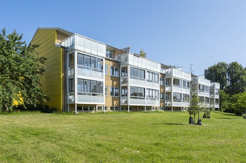estate
